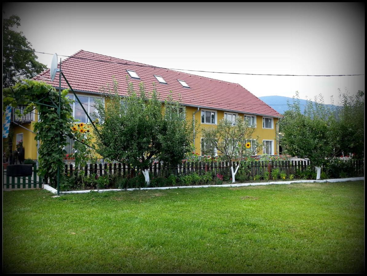 Cazare La Troita Hotell Codlea Exteriör bild