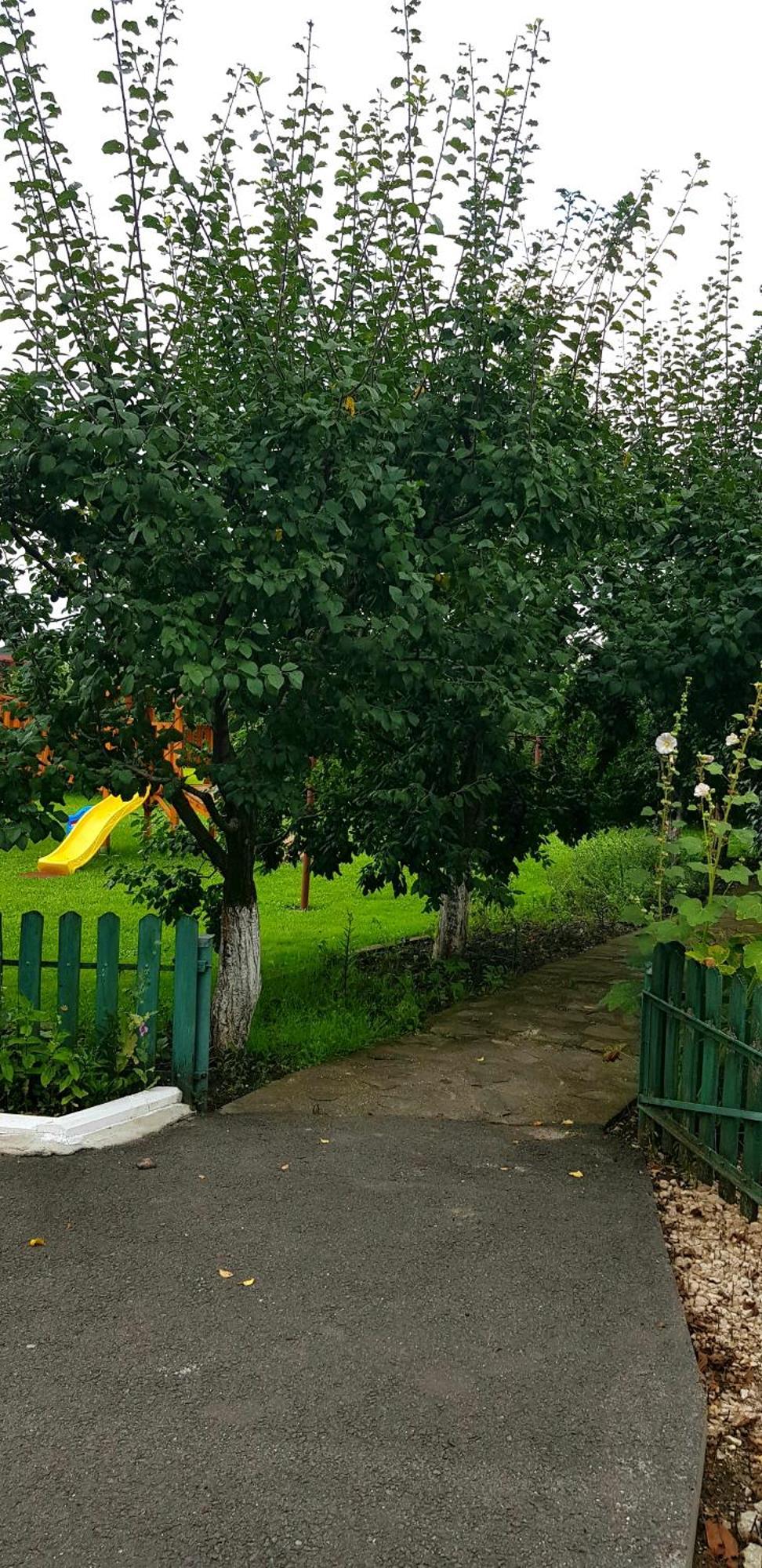 Cazare La Troita Hotell Codlea Exteriör bild